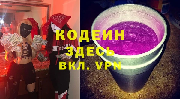 амф Ладушкин
