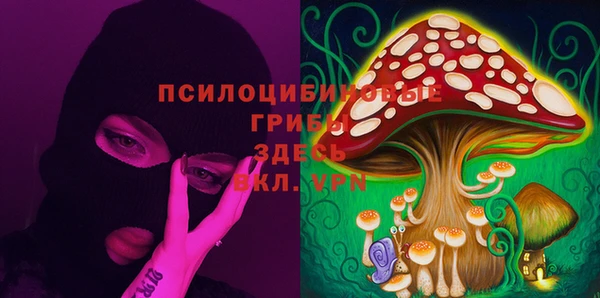 mix Лабытнанги
