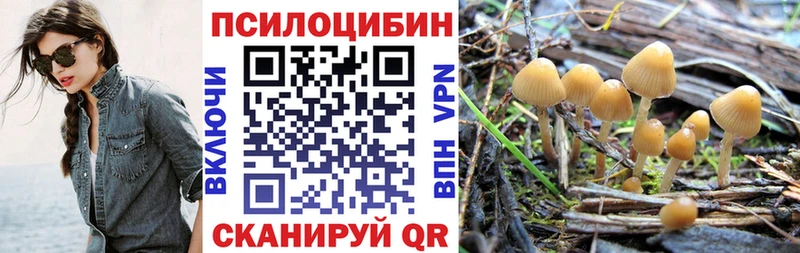 ОМГ ОМГ tor  цена   Кумертау  Псилоцибиновые грибы GOLDEN TEACHER 